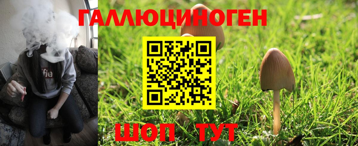 Чусовой  Псилоцибиновые грибы Psilocybe  Псилоцибиновые грибы Psilocybe  Вход с VPN 
